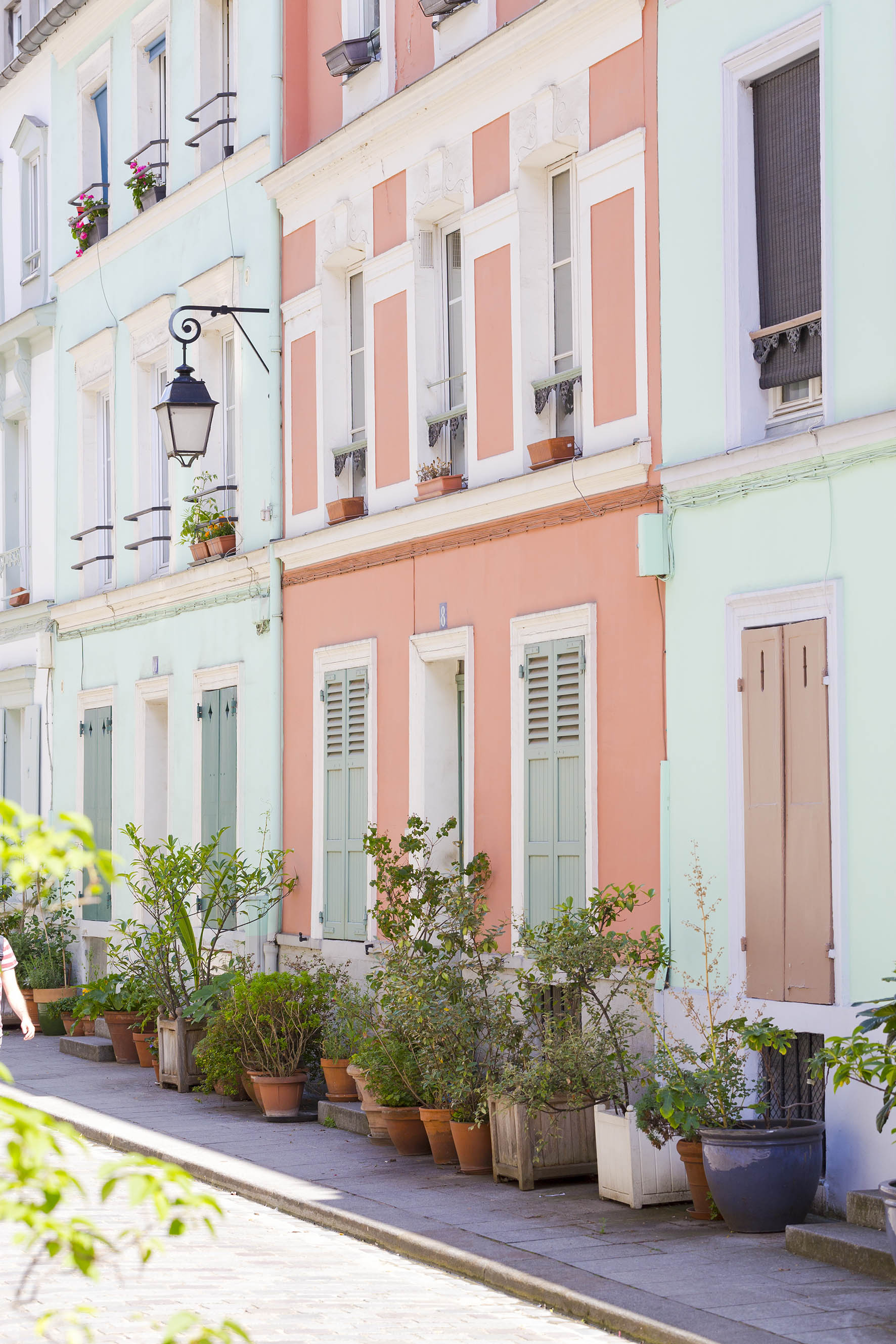 Clovis and Smith Studio Saison